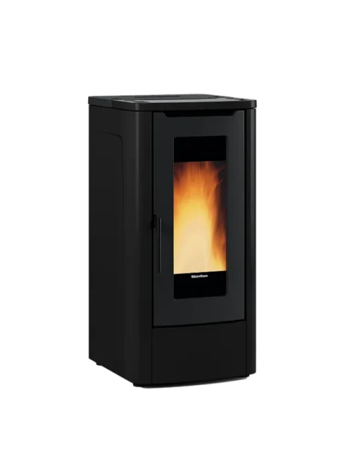 EXTRAFLAME 1295252
